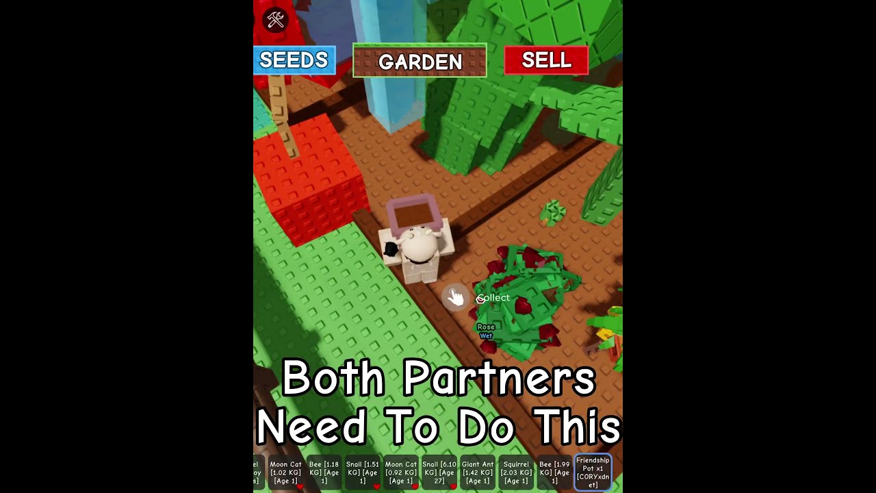 How To Use A Friendship Pot Grow Garden 