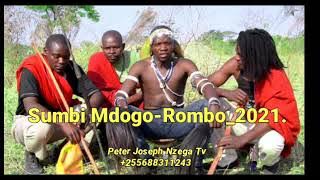 Sumbi Mdogo - Rombo ( Music Audio 2021)