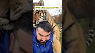 the tiger that changed my life #animals #pets #wildliferescue #rescueefforts #rescue #tiger