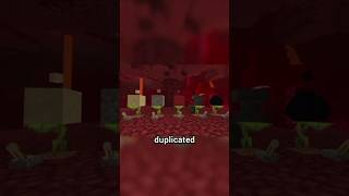 Minecraft 1.21 duplication Trick🚀