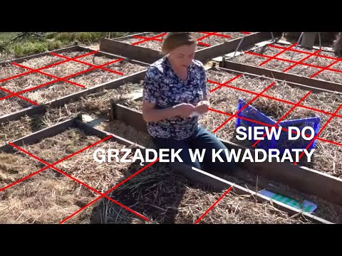 Update SIEW DO GRZĄDEK W KWADRATY