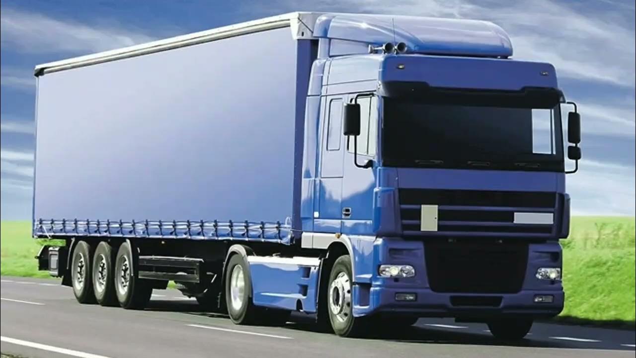 Olesya Zheleznyak Sovchilar mushuk