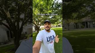 За что я люблю Америку