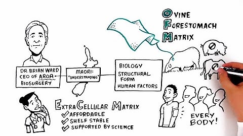 Endoform® ECM Technology