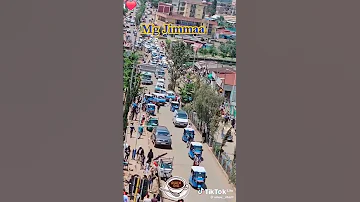 Jimmaa Abba Jifaar Ethiopian Foryou Viral 