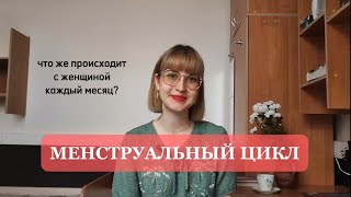 Менструальный цикл: объяснение для НЕмедиков 🌸