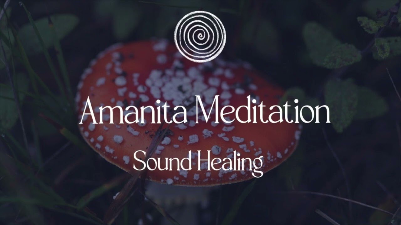 Linea I Amanita Meditation I Sound journey I Shamanic Singing