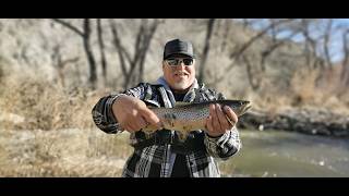 Fishing the East Walker River in a rural area hunting down some Beautiful Brown Trout 1
