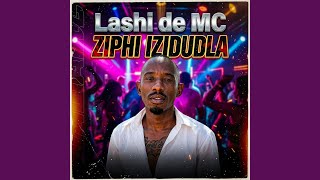 Ziphi izidudla