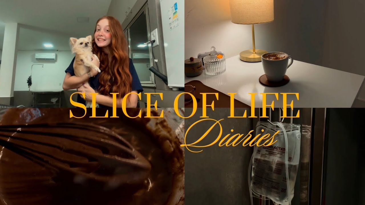 Slice of life 💌| estágio veterinário,review do mês de janeiro ,caminhadas & muito mais 
