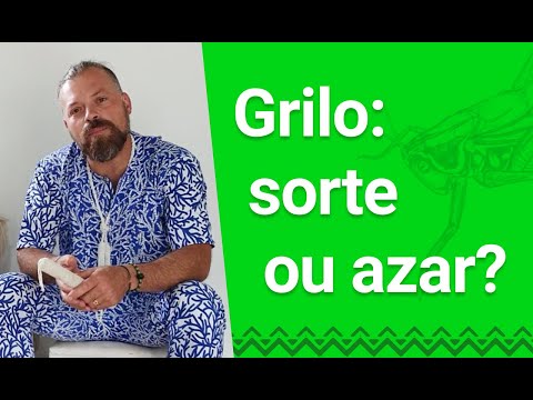 Vídeo: Os grilos dão sorte?