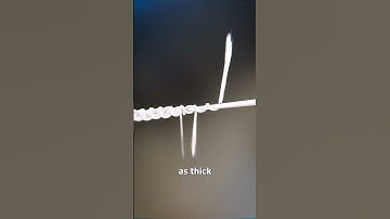 How Strong Is Spider Silk? 😮