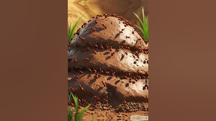 The Power of Unity 🐜 | A Heartwarming Story About Teamwork & Ants | Life Lesson from Nature