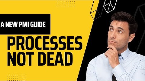 A new PMI Process groups practice guide