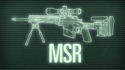 Weapons of Modern Warfare - Remington MSR