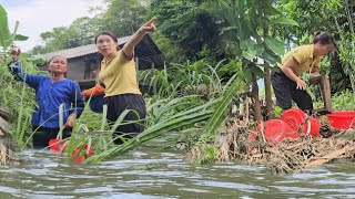 Download lagu Flash Flood Strikes Overnight,Causing harm to the Moc family.