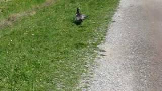 10) Farhad in Turku, Finland (Ruissalo Island)