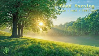 Download Lagu Goedemorgen, ontspannende natuurmuziek 🌿 Kalmte voor de geest MP3