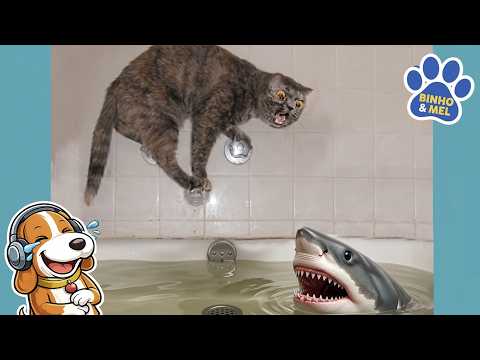 Funny Animals Binho and Mel