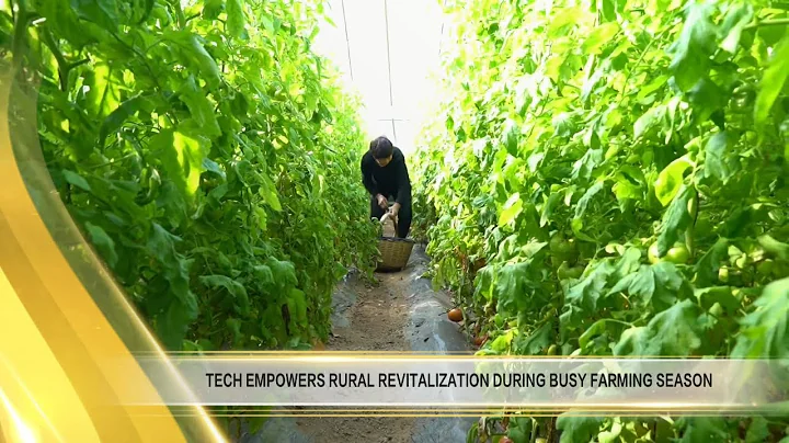【Exploring ShanXi】tech empowers rural revitalization during busy farming season农忙正当时 技术赋能助振兴 - DayDayNews