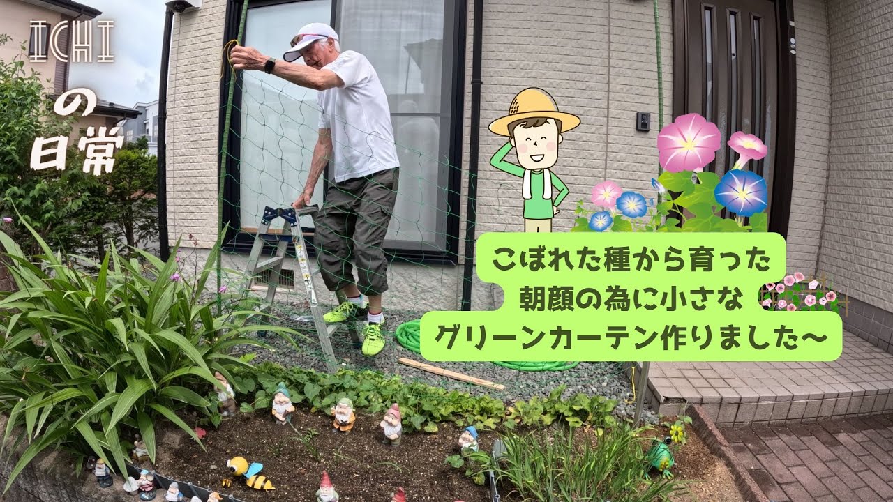 朝顔のグリーンカーテン（小さい版）作りました～！