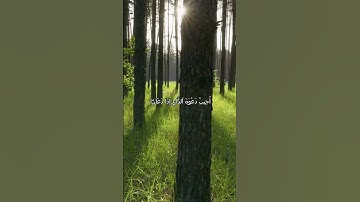 Surah Al-Baqarah Verse: 186. Alafasy | سورة البقرة الاية: 186. العفاسي #albaqarah #alafasy