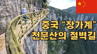 코로나 이후 중국  