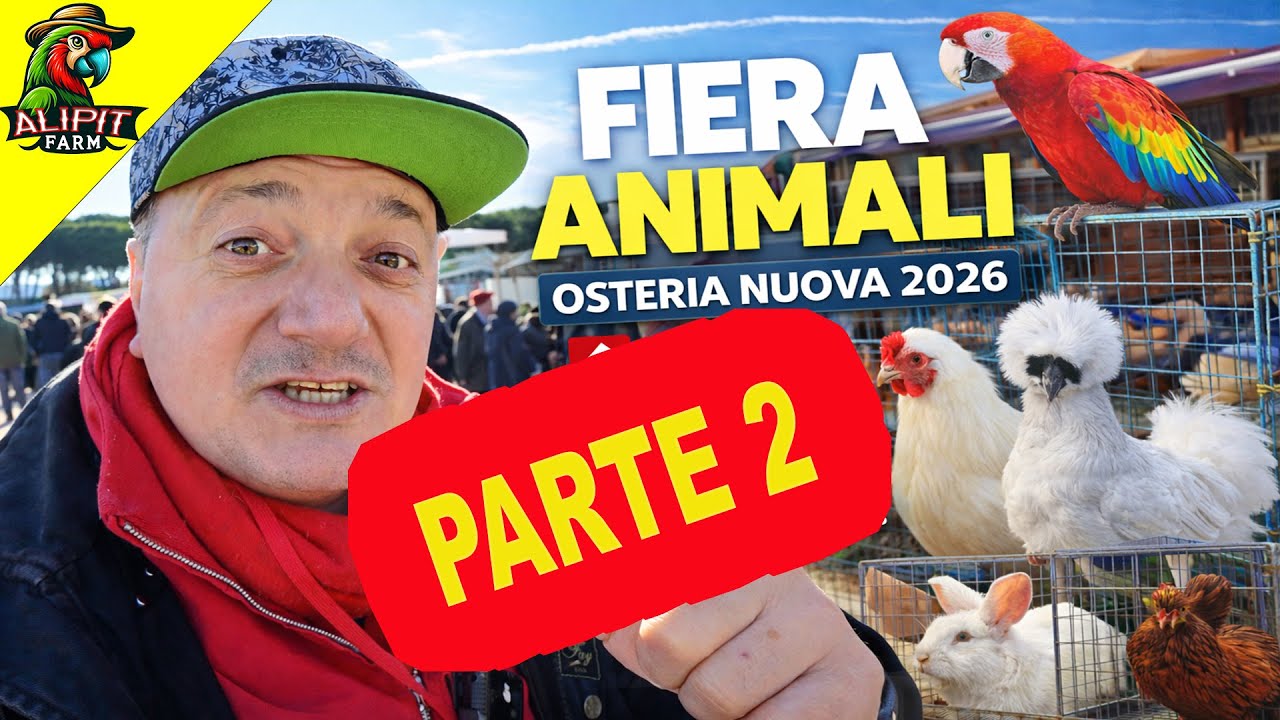 Fiera Animali Osteria Nuova 2026 Galline, Conigli, pappagalli e animali PARTE 2 #fieraanimali