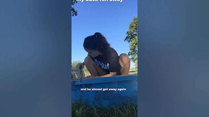 how to bathe a duck by Elizabeth Henson