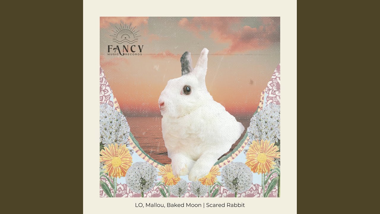 Watch Scared Rabbit on YouTube Watch Scared Rabbit on YouTube