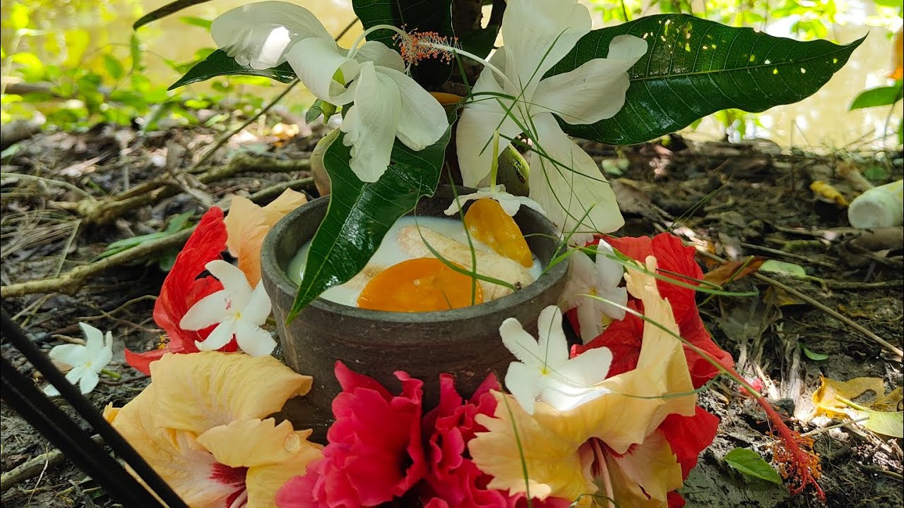 আমাদের বাড়ির মনসা পূজা। মা পূজো দিচ্ছে । 