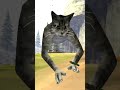 DAVE THE MAGICAL CHEESE WIZARD 🧀🧙‍♂️🪄 #animalcompany #vr #meme