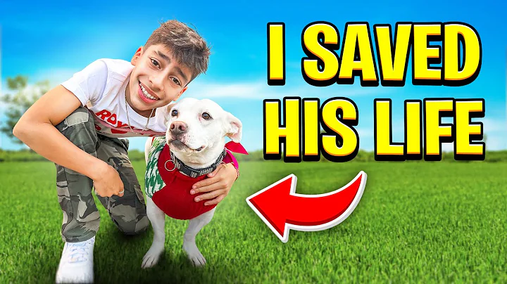 We Saved a Puppy's Life! ❤️