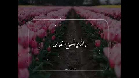 سورة الأعلى - ماهر المعيقلي / حالات واتس اب اسلامية