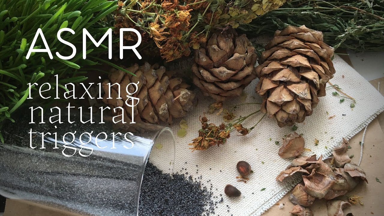 ASMR Relaxing Natural Triggers | Cedar cones, dry herbs (without talking)