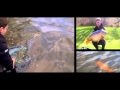 Lac Serreire Vol.2 | Karpervissen in Frankrijk | CarpFeeling