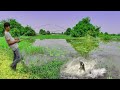 Excellent Technique Fishing By Babe Duck - a fishermen skill catch big fish by babe duck in river