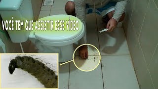 Como achar essa LARVA no banheiro, isso é sinal de sujeira astral