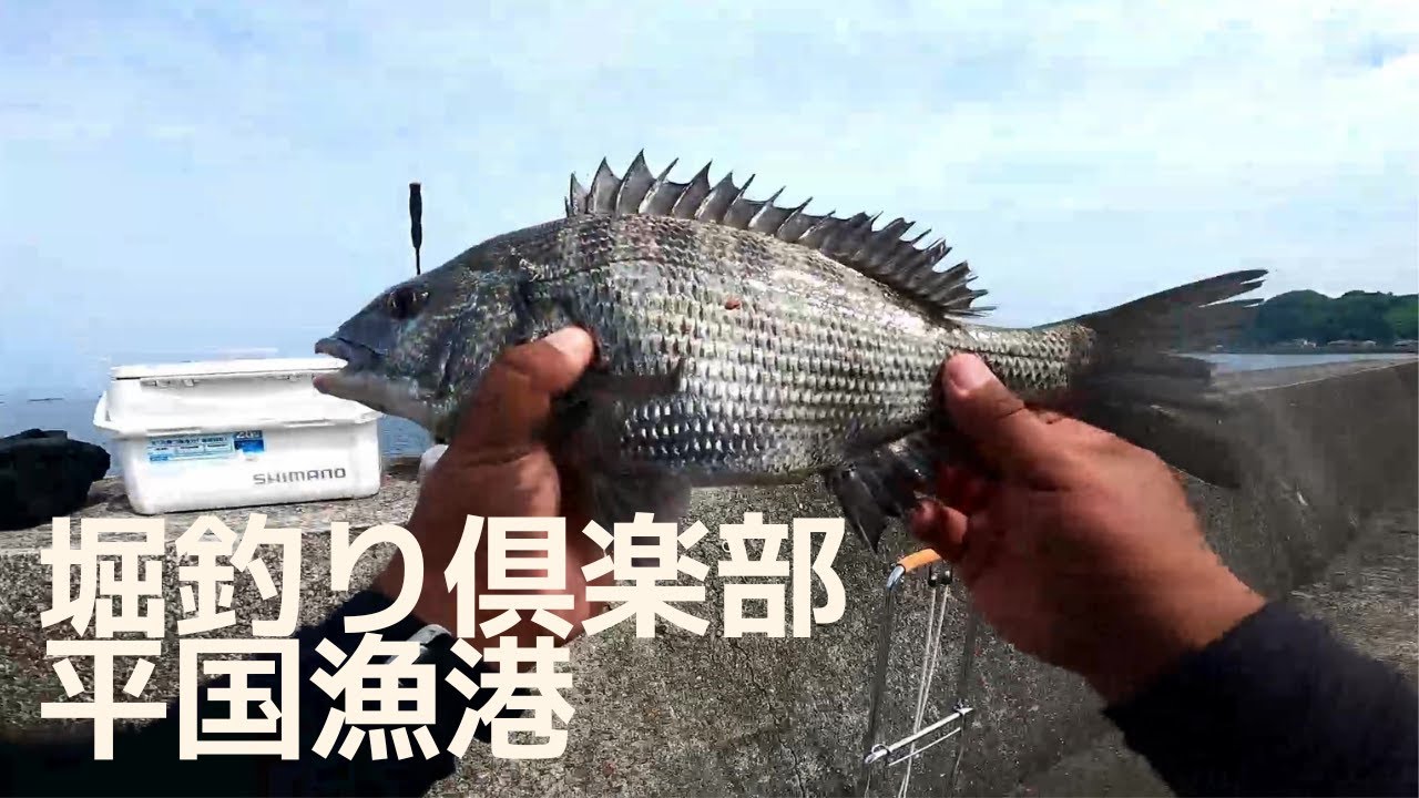 平国漁港で棒ウキ半誘導にてチヌを狙う