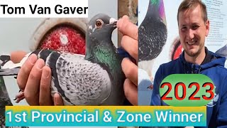 Tom Van Gaver | 1st Prov & zonal 2023 | Racing pigeons Resimi
