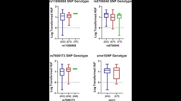 Mann-Whitney-Wilcoxon test In R