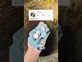 コイン井戸チャレンジ!