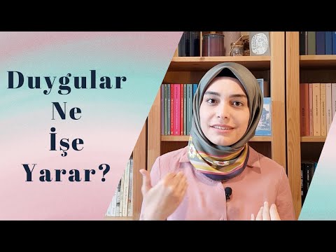 Duygular Bize Ne Anlatır? - Duygularla İlişkimiz!