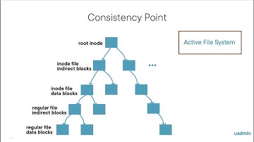 NetApp WAFL Consistency Points