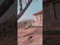 #reelschallenge