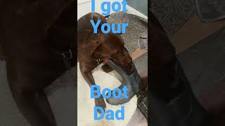 I Got Your Boot Dad,