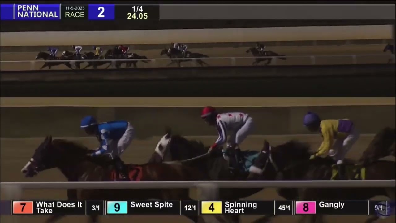 Gangly at Penn National 11/5/25