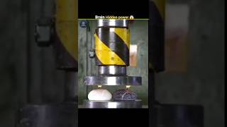 Mind-Blowing Fact: How Much Can Your Brain Store?😱