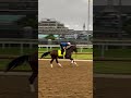 Kentucky Derby Winners WhoHave Skipped the Preakness Stakes