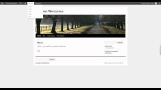 Wordpress Basics - Sidebar